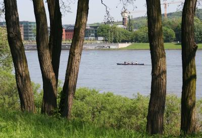 Along the Rhein