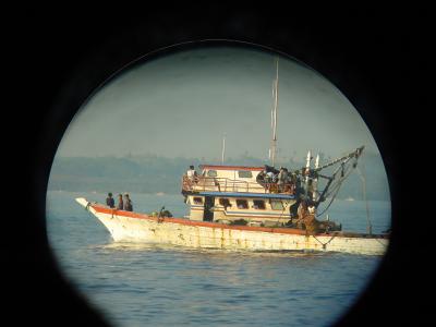 bohol-fishing-fleet2.jpg