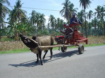 cdo-oxcart.jpg