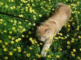 You want me to walk among these beauties, ok, I'll do.