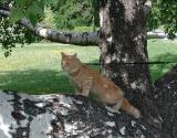 Did you know that there are plants and trees from around the world in this park?