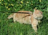 Did I hear a bird??
