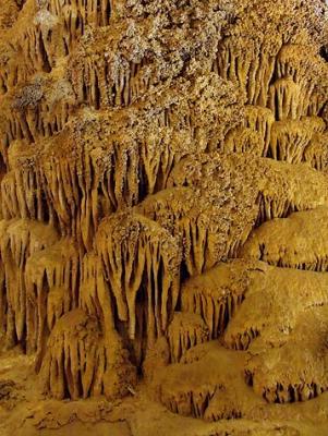 Carlsbad Caverns20