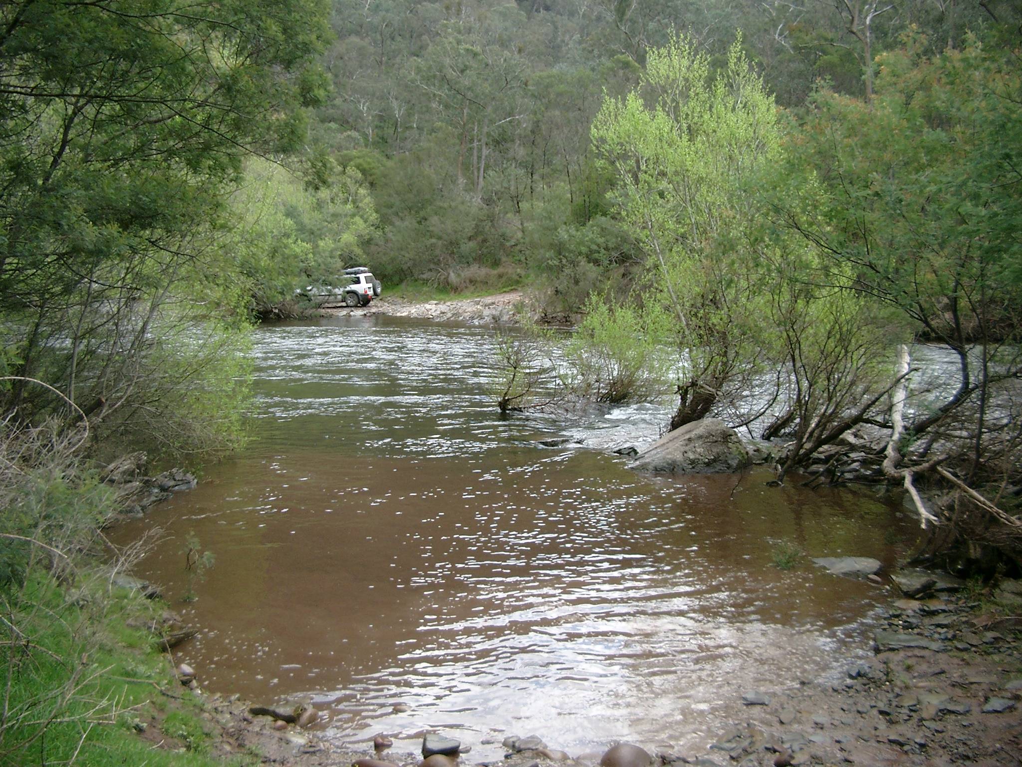 Macalister River near Licola