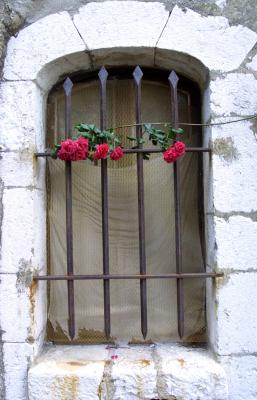 October 13, 2006:  Imprisoned Rose