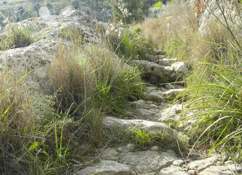 Pantalica - Hiking Trail