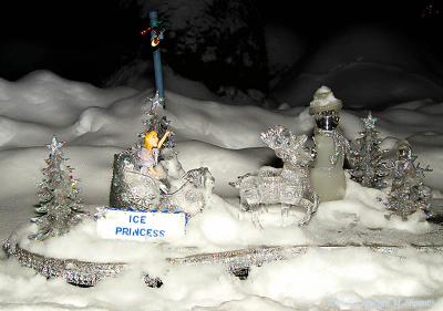 Ice Princess