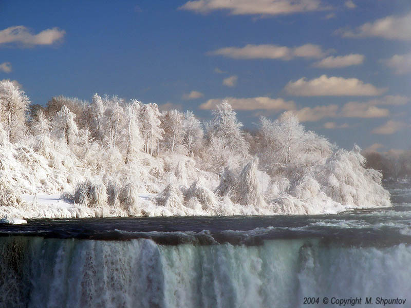 Ice Forest above Falls