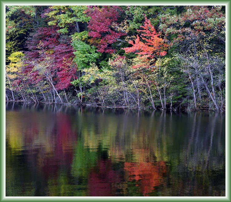 Fall Colors of Lake Scranton