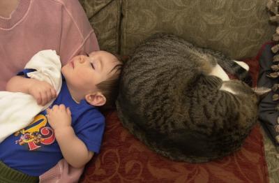 A cat and her boy