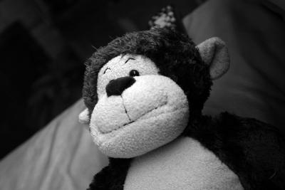 monkey BW