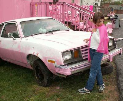 PARTLY PINK PINTO.jpg