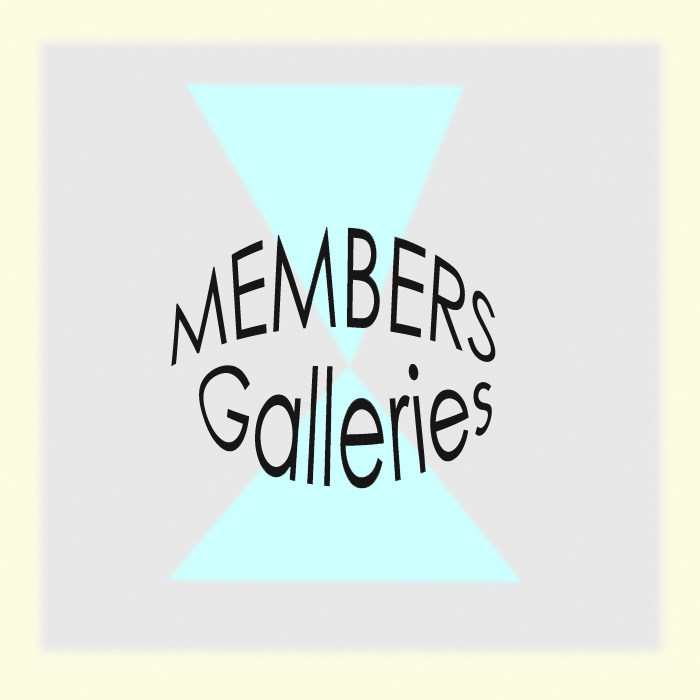 MEMBERS GALLERIES