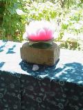Beauty abounds....