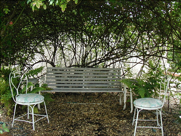 Picture #2 (New Bower)