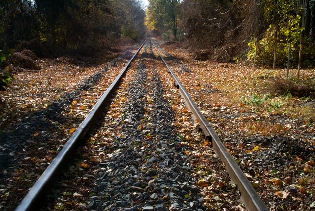 Railroad Tracks