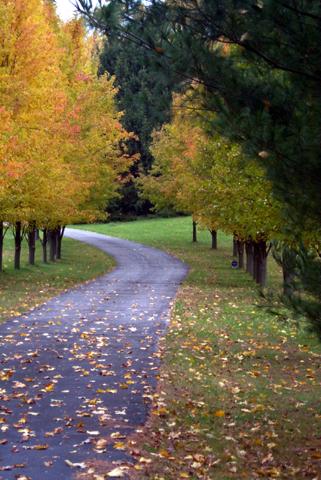 Side Road