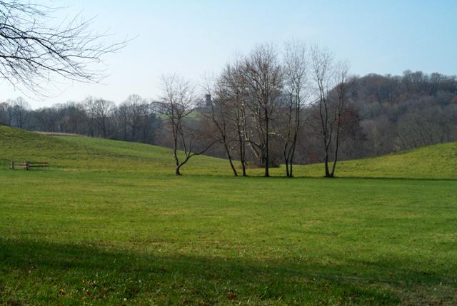 Chadds Ford Farmfileds