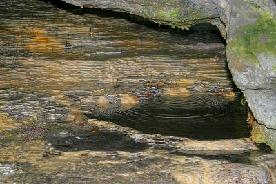 Cave Pool