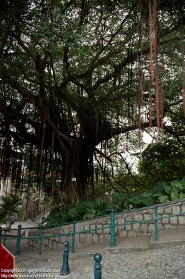 Macau 澳門 - 澳門博物館 Macao Museum
