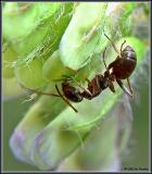 Img_6641s.jpg