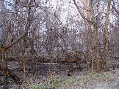 u11/ms_mimi69/medium/38036604.Winterblahs.jpg