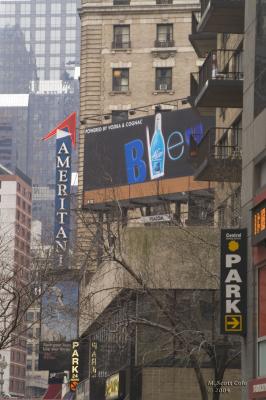 New Years Eve Day in NYC  07.jpg