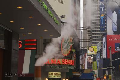 New Years Eve Day in NYC  19.jpg