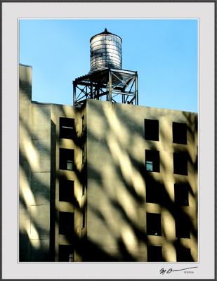 u11/mtf_foto_studies/medium/42817291.PICT3911.jpg