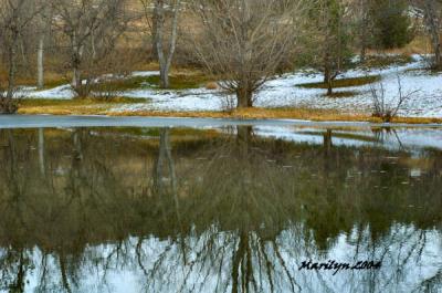 'reflection and ice ... '