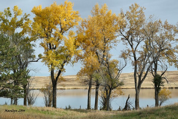 long lake in the morning sun