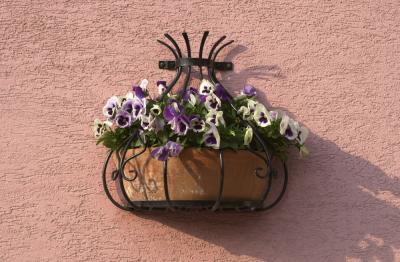 Flowers.jpg