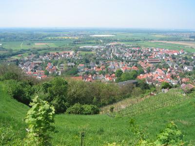 Zwingenberg_aereal.jpg