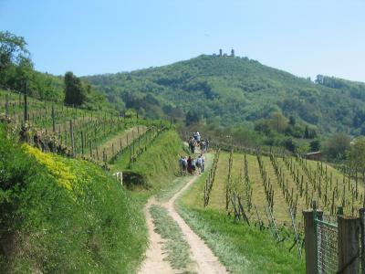 Bergstrasse_1.jpg