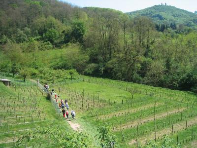 Bergstrasse_3.jpg