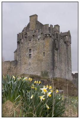 u11/nekyrees/medium/41477814.HighlanderCastle1web.jpg