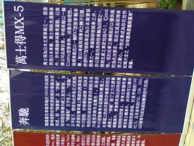 P1010069.JPG