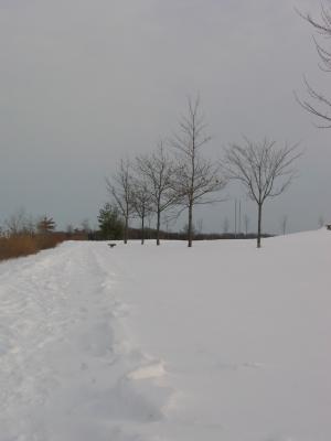 Not many folks been through this park