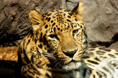 Philadelphia Zoo