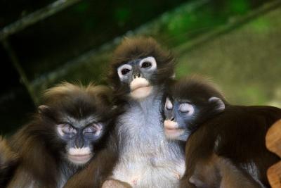Philadelphia Zoo