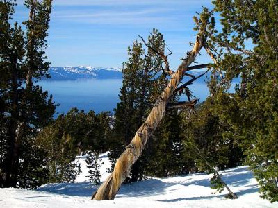 Lake Tahoe Scenes