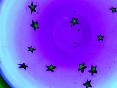 Lundgren Glass Bowl