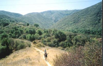 quality_5_California1.jpg