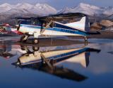 Beaver Reflection by Drew