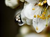 Water Drop Mirror by Bob Klingensmith