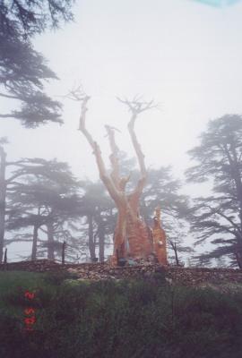 The Cedar of Lebanon