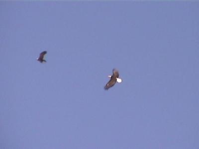P000010f.jpg