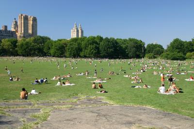 Summer in Central Park 2002