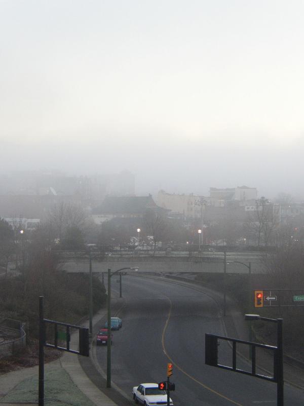 P1180004a.jpg