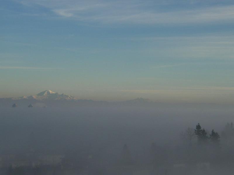 P1180052a.jpg